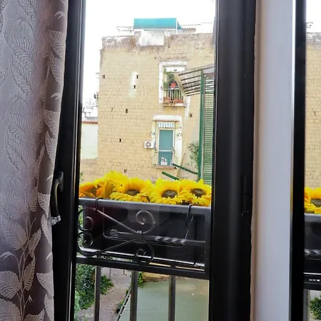 Bed and Breakfast Terra Mia Savoia