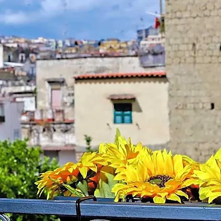 Terra Mia Savoia Bed & Breakfast Neapol