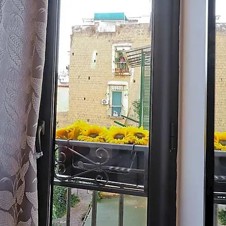 Terra Mia Savoia Bed & Breakfast